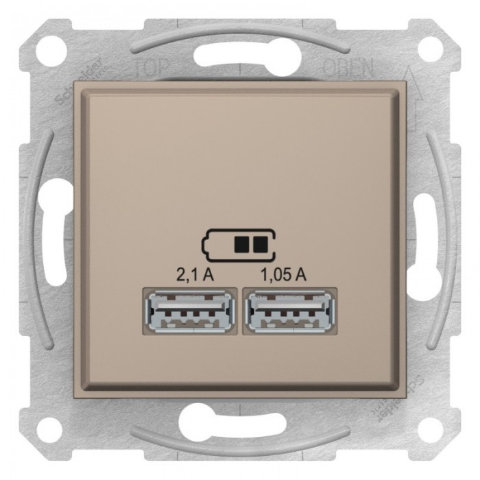 USB-розетка подвійна Schneider Electric Sedna Титан (SDN2710268)