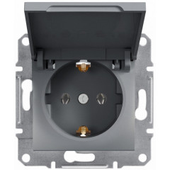 Розетка Schneider Electric Asfora із заземленням і кришкою Сталь (EPH3100162)
