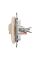 Аудиорозетка Schneider Electric Sedna Design Бежевый (SDD112411)