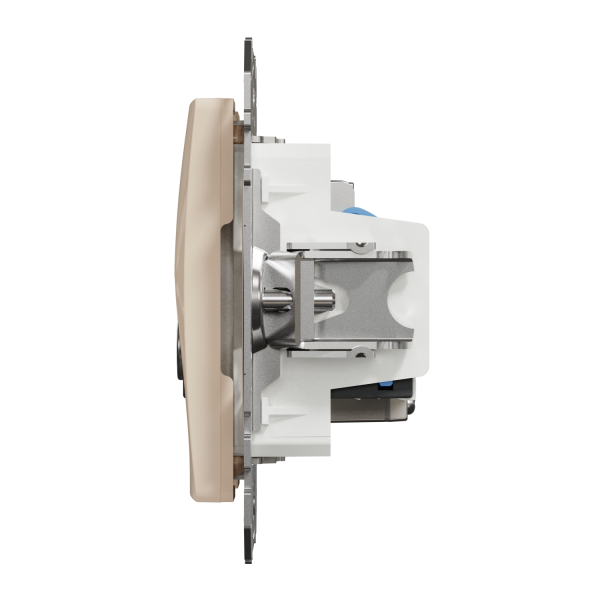 TV+RJ45 розетка Schneider Electric Sedna Design Бежевий (SDD112469T)