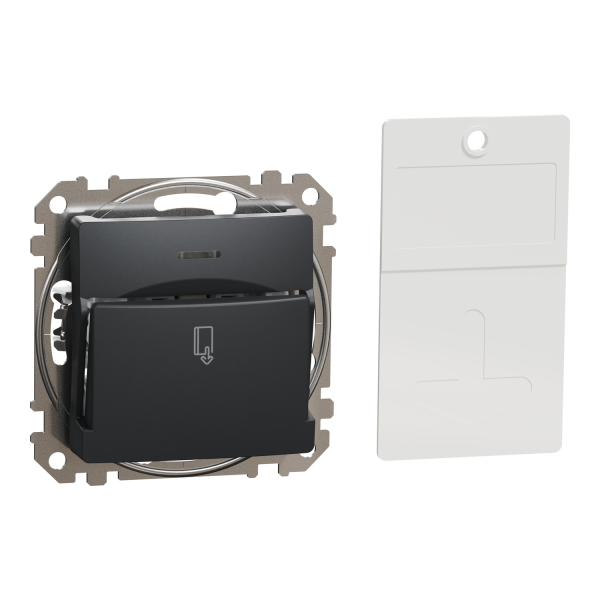 Карточный выключатель Schneider Electric Sedna Design 10 А Чёрный (SDD114121)