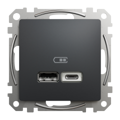 USB-розетка A+C Schneider Electric Sedna Design 12 Вт Чорний (SDD114402)
