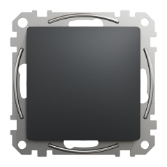 Заглушка Schneider Electric Sedna Design Чорний (SDD114904)