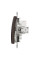 Кнопковий вимикач Schneider Electric Sedna Elements 10 А Венге (SDD181111U)