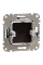 Заглушка Schneider Electric Sedna Elements Венге (SDD181904)